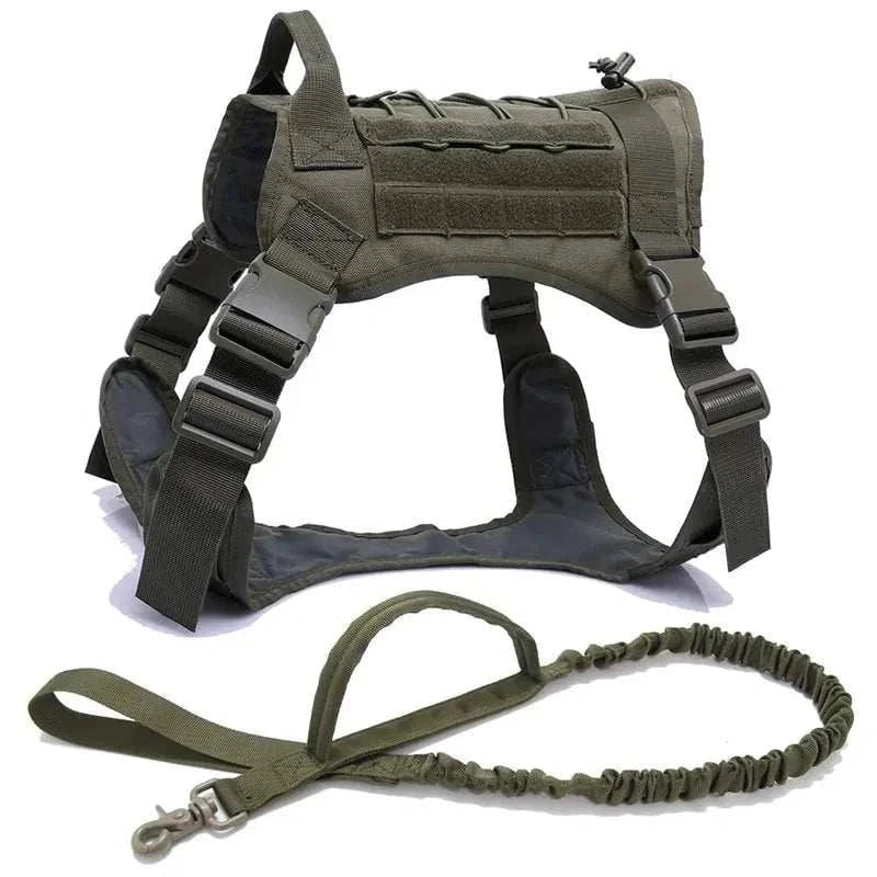 Nylon Tactical Dog Harness with handle and bungee leash in green.