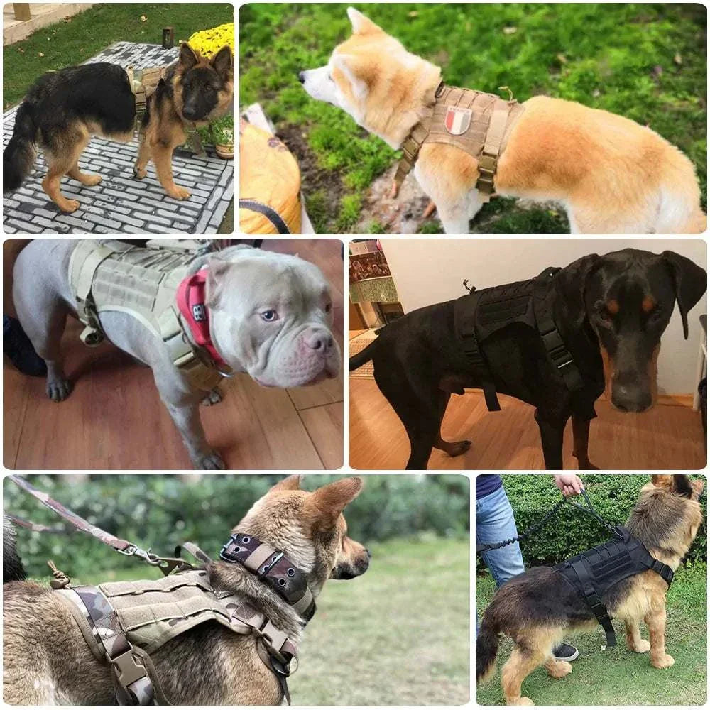 Nylon tactical dog harness with handle and bungee leash for large dogs in various colors and sizes, featuring adjustable straps and durable design.