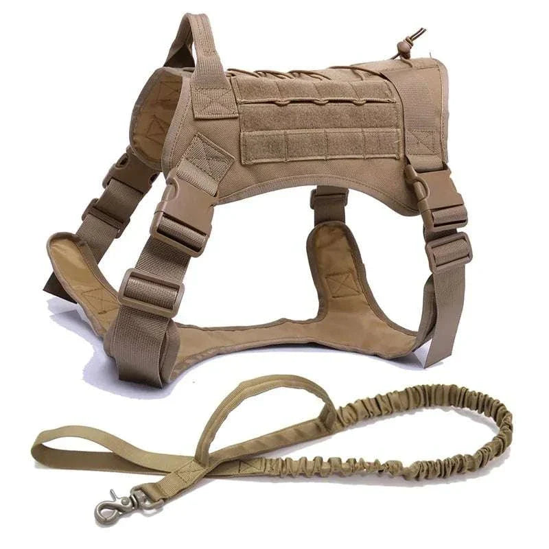 Nylon Tactical Dog Harness with bungee leash for large dogs.