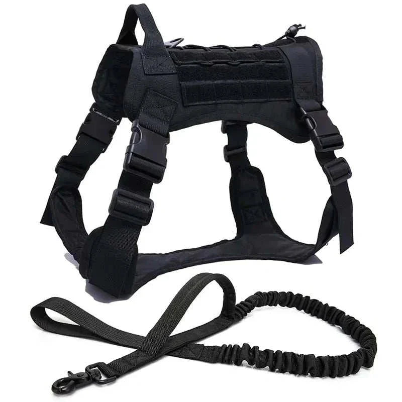 Nylon tactical dog harness with handle and bungee leash for large dogs.