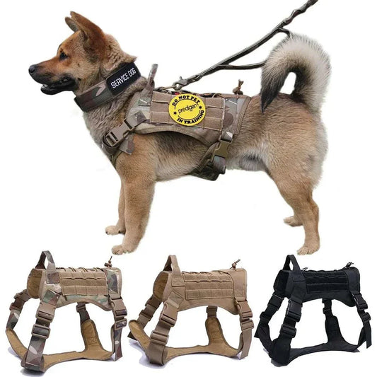 Nylon Tactical Dog Harness with Handle and Bungee Leash for Large Dogs in various colors and sizes.